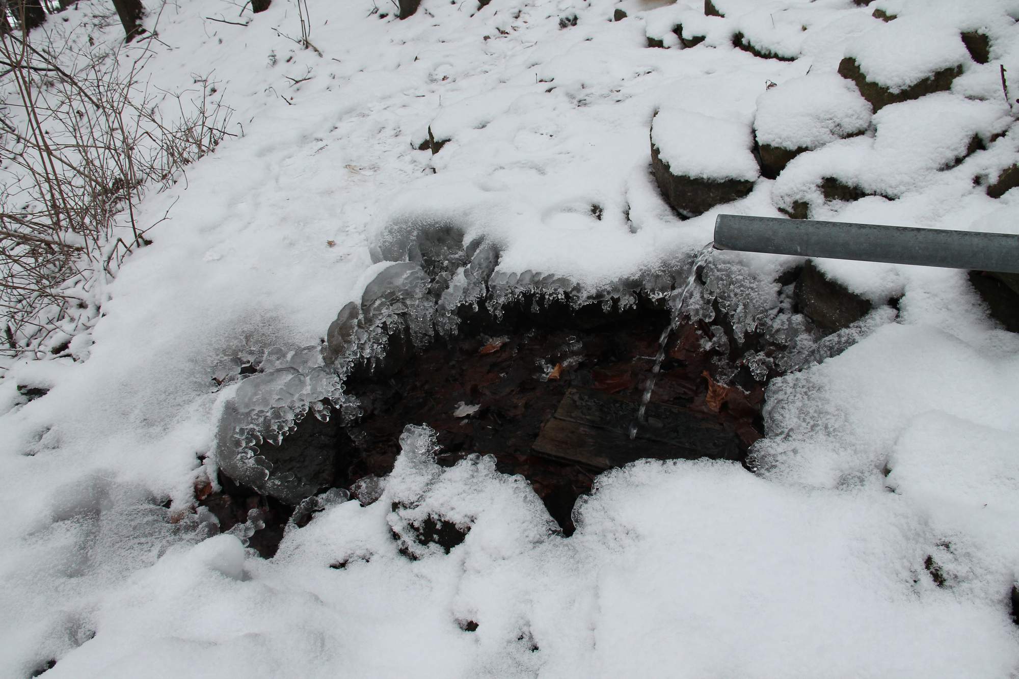 studánka