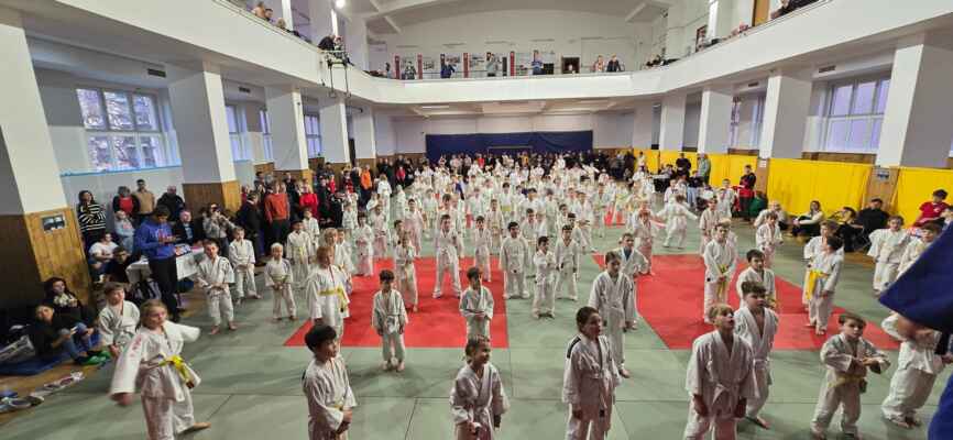 Randori koťat 1.12.2024