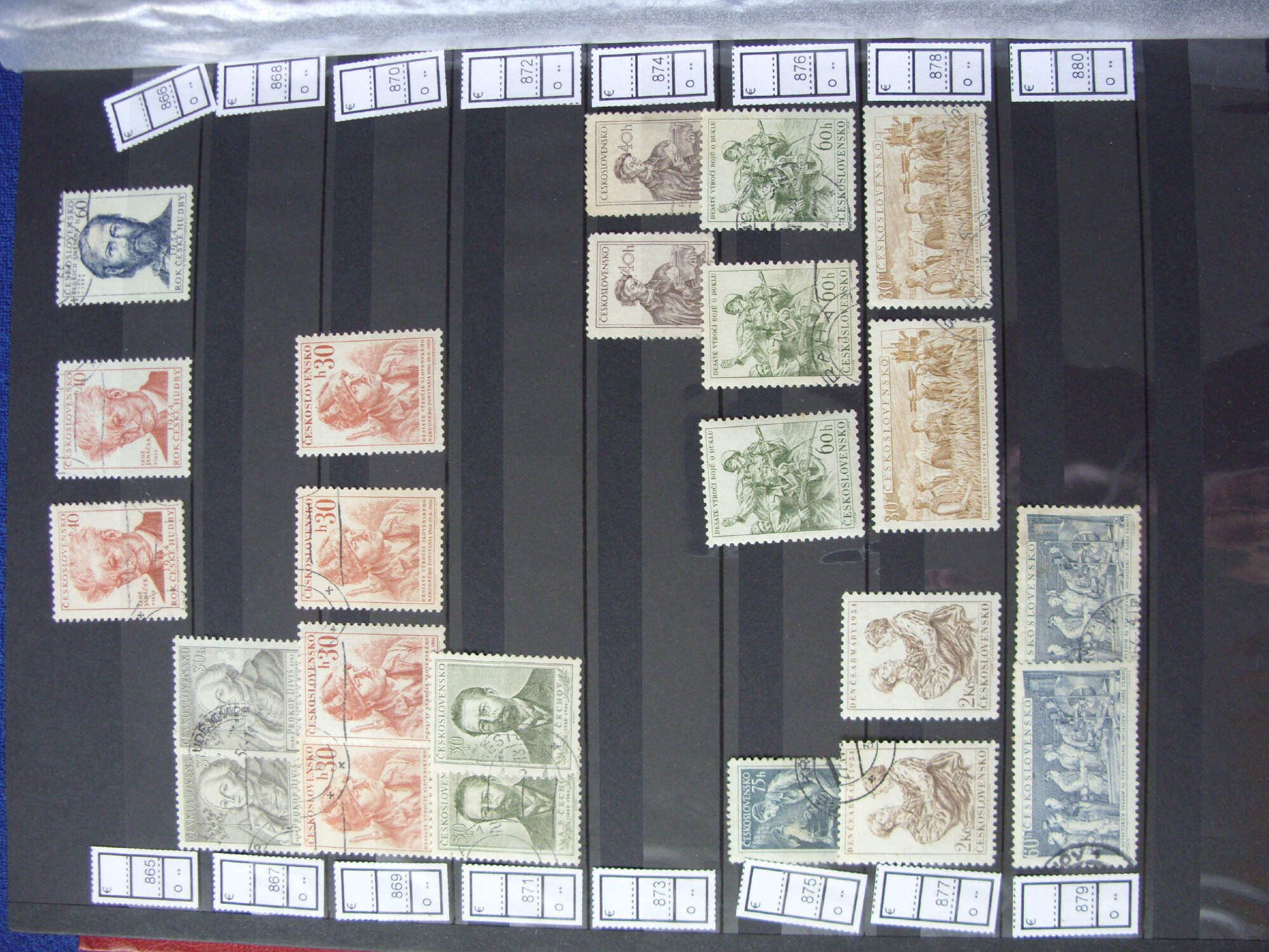 SDC10095.jpg?ver=0