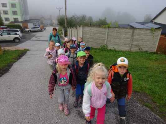 1. Lesní školka - zvídálci