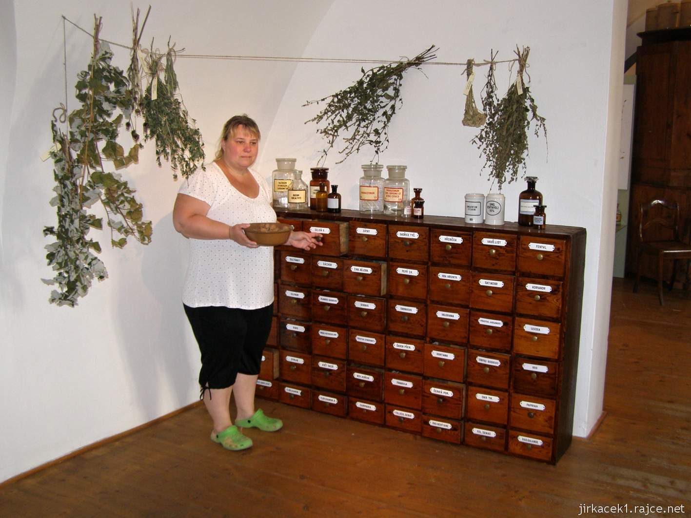 Hlučín - zámek - budova zámku - muzeum - výstava Léčivé bylinky