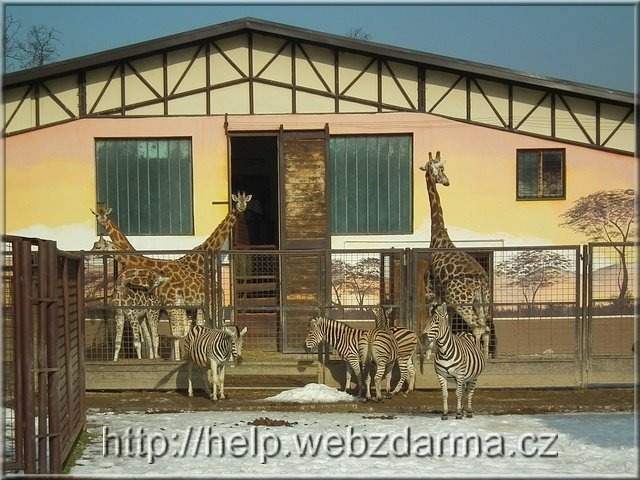 afrika