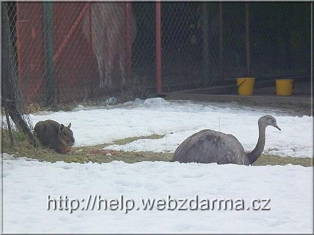 parik