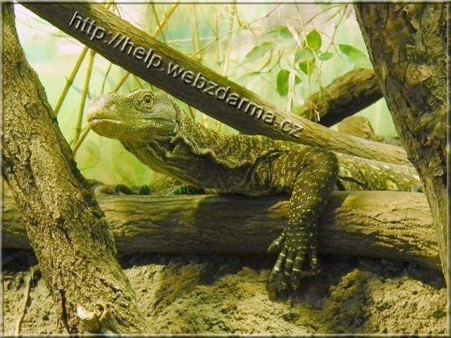 varan