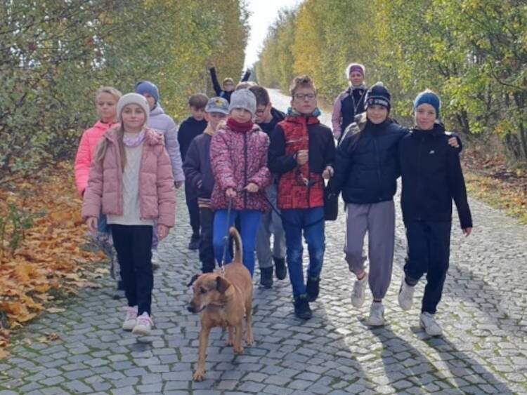 Návštěva útulku