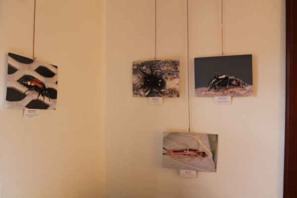 Co nesmělo chybět v šatníku (34)