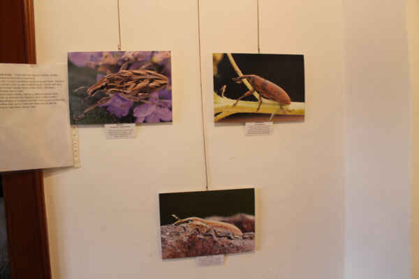 Co nesmělo chybět v šatníku (35)