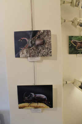 Co nesmělo chybět v šatníku (36)