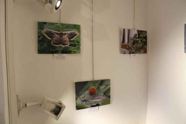 Co nesmělo chybět v šatníku (37)