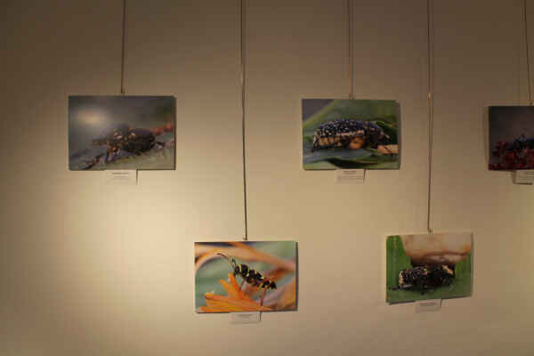 Co nesmělo chybět v šatníku (38)