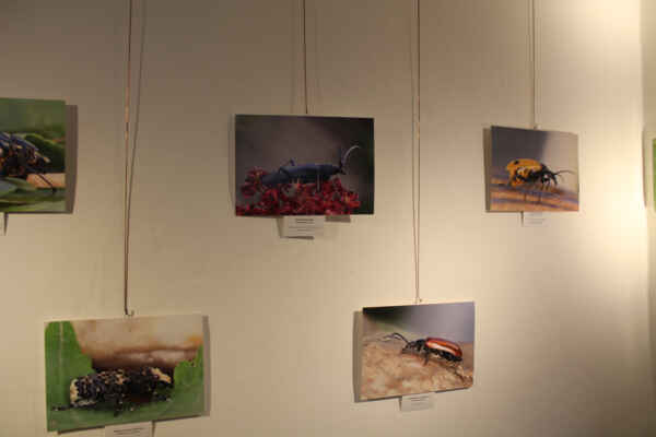 Co nesmělo chybět v šatníku (39)