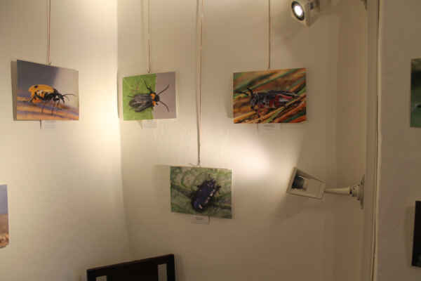 Co nesmělo chybět v šatníku (40)