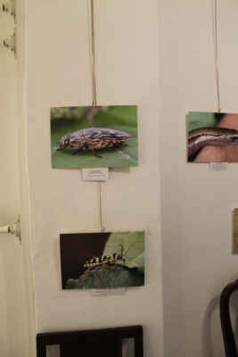 Co nesmělo chybět v šatníku (41)