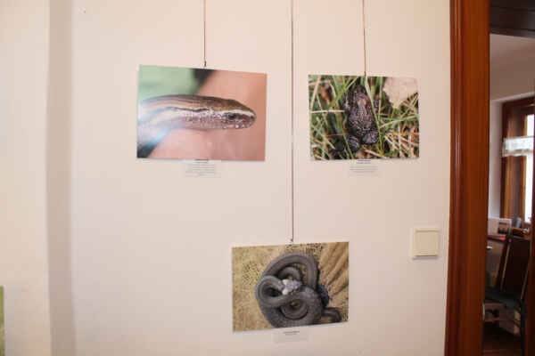 Co nesmělo chybět v šatníku (42)