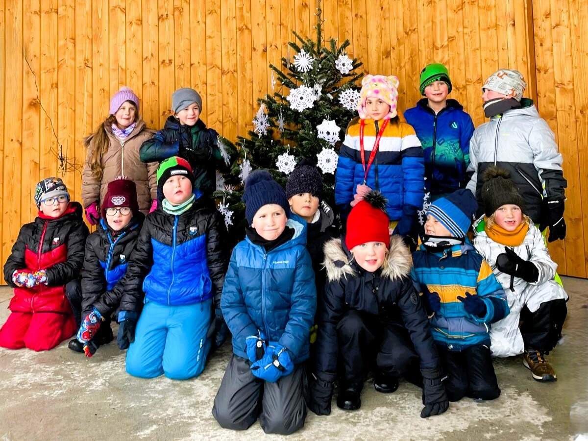 ŠD 1.B + 0.A Zdobení stromečku na Horním Kosově