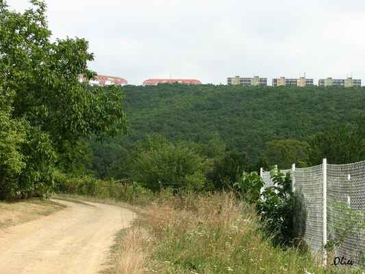 cestou do Bosonoh - výhled na Kohoutovice