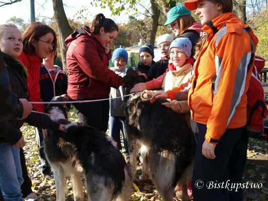 Gam a Wolfi s dětmi (4) - děti, učitelky i naši psi byli nadšeni
